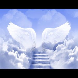 Meet your Posher, Misha